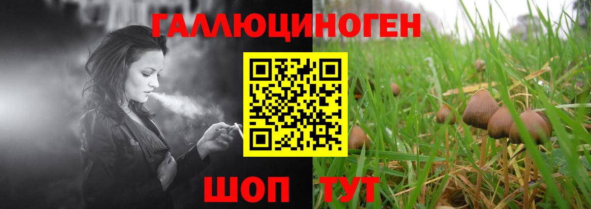 купить   Вход с VPN  Нефтекумск  Галлюциногенные грибы MAGIC MUSHROOMS 